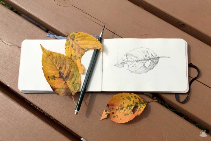 三枚の落ち葉とスケッチブックと鉛筆