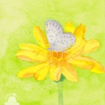 花とシジミチョウの水彩画