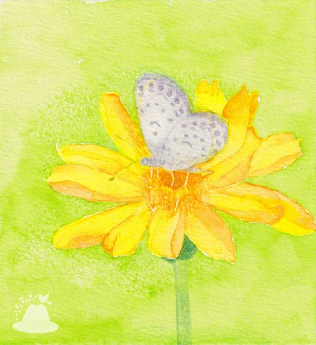 花とシジミチョウの水彩画