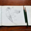 奥秋由美(OKUAKI STUDIO)の絵画作品