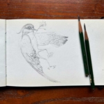 奥秋由美(OKUAKI STUDIO)の絵画作品